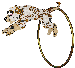 M_M's The Girl In The Corner, Let No One Ignore Her — “Ballroom Blitz”