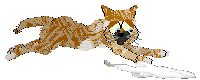 Calluna's No Bark All Bite — “Basenji”