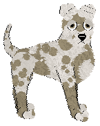 Profile image of Sz's Absolute Stress