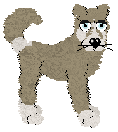 Vanilla's Oppobrium @ Mockingbird — “Odium”