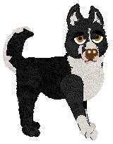 Pachelbel's Garden Gala Green — “Zucchini”