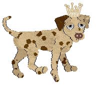 Profile image of Poppyhill/FDL's Rosemary Remembrance