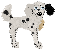 Cirrutopia's Know It All — “Xpert”