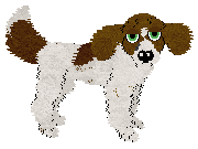 Profile image of Cirrutopia’s Sprinkles of Joy