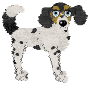 Cirrutopia's Reel Color — “Tam”