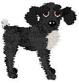 Profile image of Charmme/Tangled's Agree to Disagree