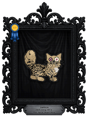 Profile image of King/Dh's The Spice Must Flow