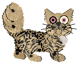 King/Dh's The Spice Must Flow — “Saffron”