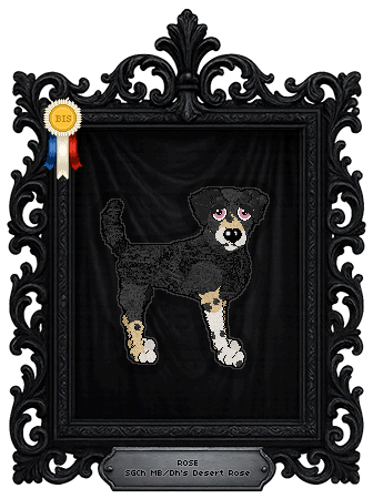 Profile image of MB/Dh's Desert Rose