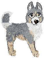 Vanillabel's Siberian Jewel — “Jewel”