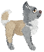 Vanillabel's I Am You — “Reflect”