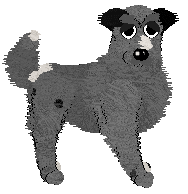 Cirrutopia's Turn Up the Volume at Vanilla — “Barkley”