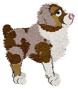 Cargo/Poppyhill's Sweet Like Chocolate — “Cacao”