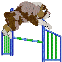 Cargo/Poppyhill's Sweet Like Chocolate — “Cacao”