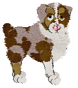 Cargo/Poppyhill's Sweet Like Chocolate — “Cacao”