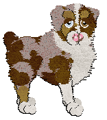 Profile image of Cargo/Poppyhill's Sweet Like Chocolate