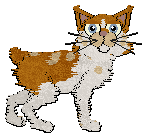 Profile image of Calluna/Ferality's Cooking Mama