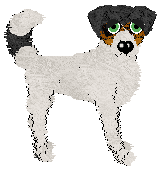 Cirrutopia/FK's Sugar Rush Serenade — “Lilted”