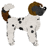 Cirrutopia/Witz's Sprinkles with Joy — “Conjure”