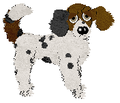 Cirrutopia/Witz's Sprinkles with Joy — “Conjure”