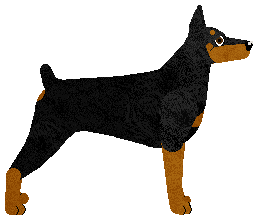 Profile image of Mockingbird's Crown Jewel