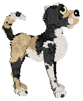 360/Dh's Nine O’Clock on a Saturday — “Joel”