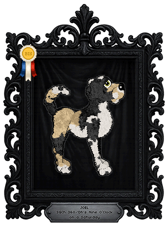 Profile image of 360/Dh's Nine O’Clock on a Saturday