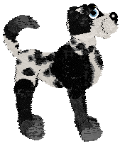 360/Dh's Riverdogz — “Viv”