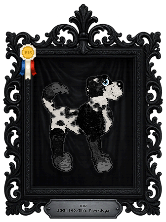 Profile image of 360/Dh's Riverdogz