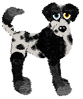 360/Dh's Riverdogz — “Viv”