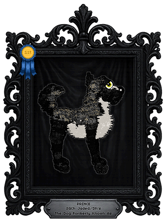 Profile image of Jaded/Dh's The Dog Formerly Known As