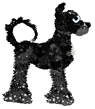 Cirrutopia/Dh's Lightning Cuts the Night — “Tempest”