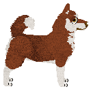 Profile image of Pachelbel's Yellow Light in the Waves