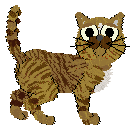 Belcame/IF's Maple Glazed — “Donut”