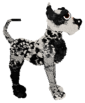 Aida/Poppyhill's Apollo of Dogs — “Nero”