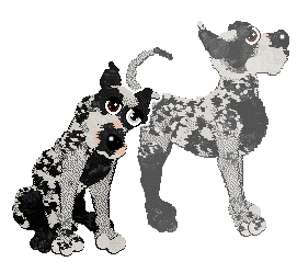 Profile image of Aida/Poppyhill's Apollo of Dogs