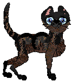 Profile image of Insanity/Calluna's Witchsmeller Pursuivant