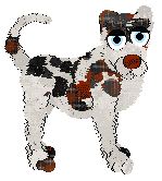 LF's Echoes of the Fall at Wild Road — “Maniye”