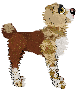 Wild Road's Divinely Connected — “Bithia”