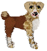 Profile image of Wild Road's Divinely Connected