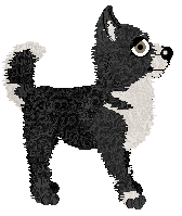 Occult's Lacuna Coil at Wild Road — “Lacuna Coil”