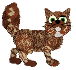 EC's Positive Reception at Wild Road — “Yaris”