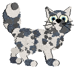 Vanilla/Wild Road's Where Flowers Bloom at FK — “Kahlo”