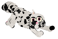 Profile image of Vanilla/Wild Road’s Perfect Gentleman at Amphigory