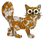 Profile image of Cirrutopia/AP's Controlled Chaos