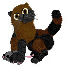 Mockingbird's Wake Up! Wake Up! Give yourself a shake up! Tao — “5th Grader”