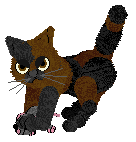 Mockingbird's Wake Up! Wake Up! Give yourself a shake up! Tao — “5th Grader”