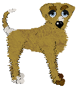 Profile image of Spellbound's Soda Pop