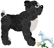 Profile image of EC's Fractured Sky