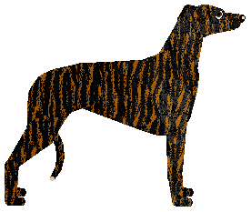 Peregrine Cool Undertone — “Minty”